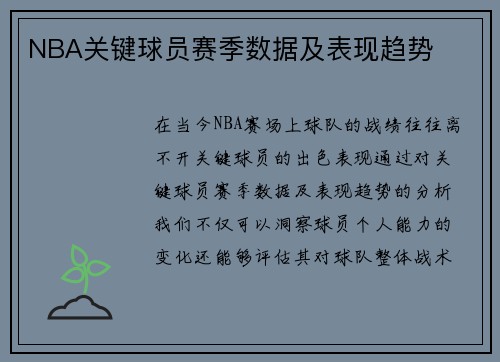 NBA关键球员赛季数据及表现趋势